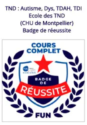 Badge de réussite - Ecole des TND